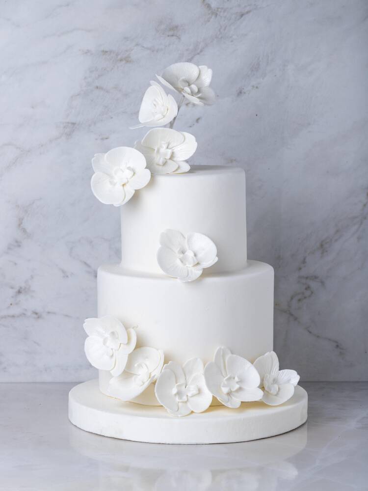White Orchid Pasta - 1