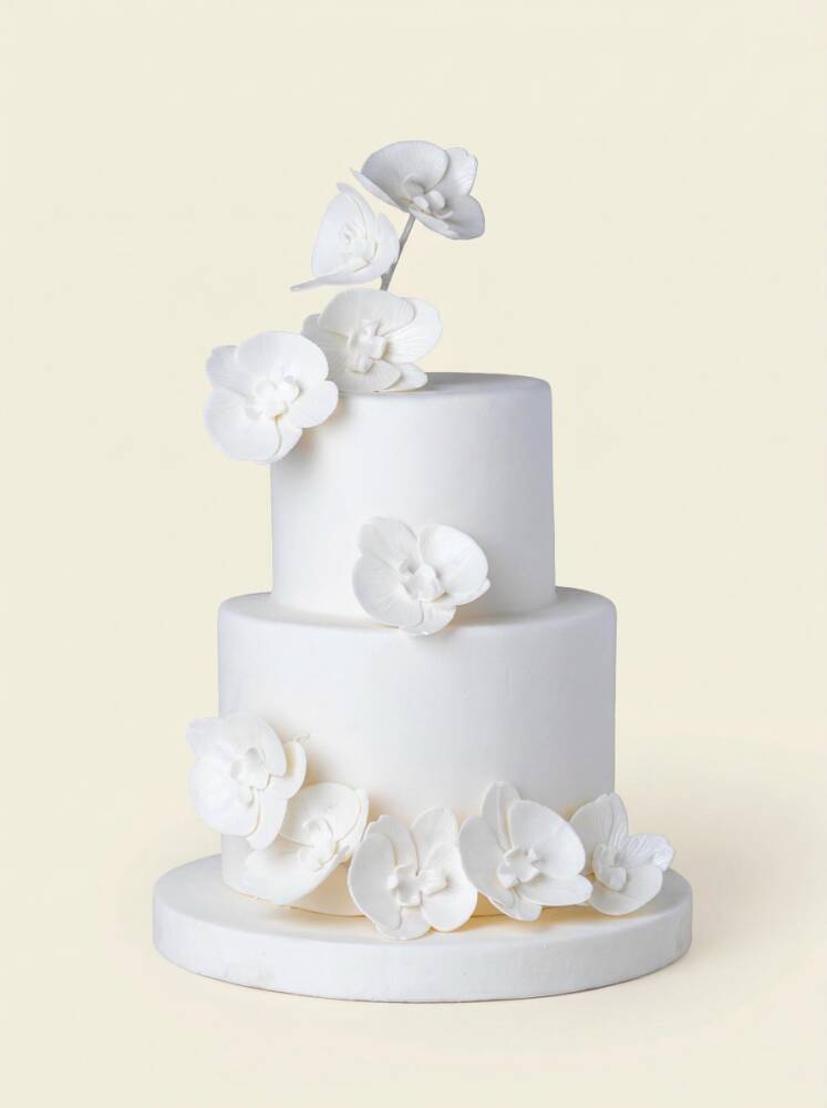 White Orchid Pasta - 1